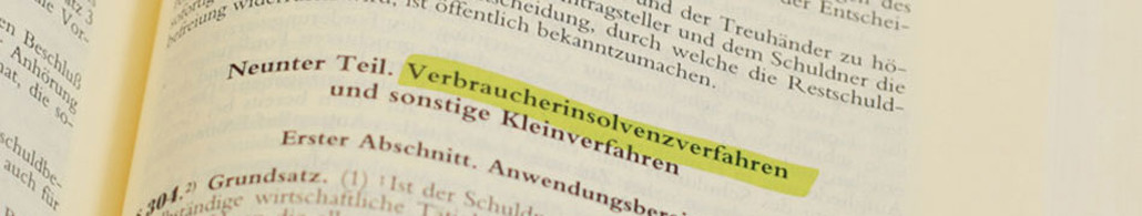 Bild neunter Teil Verbraucherinsolvenzverfahren und sonstige Kleinverfahren