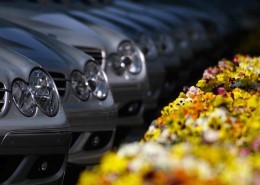Mercedes Autos stehen in einer Reihe