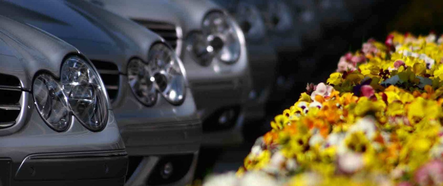 Mercedes Modelle stehen auf einem Parkplatz