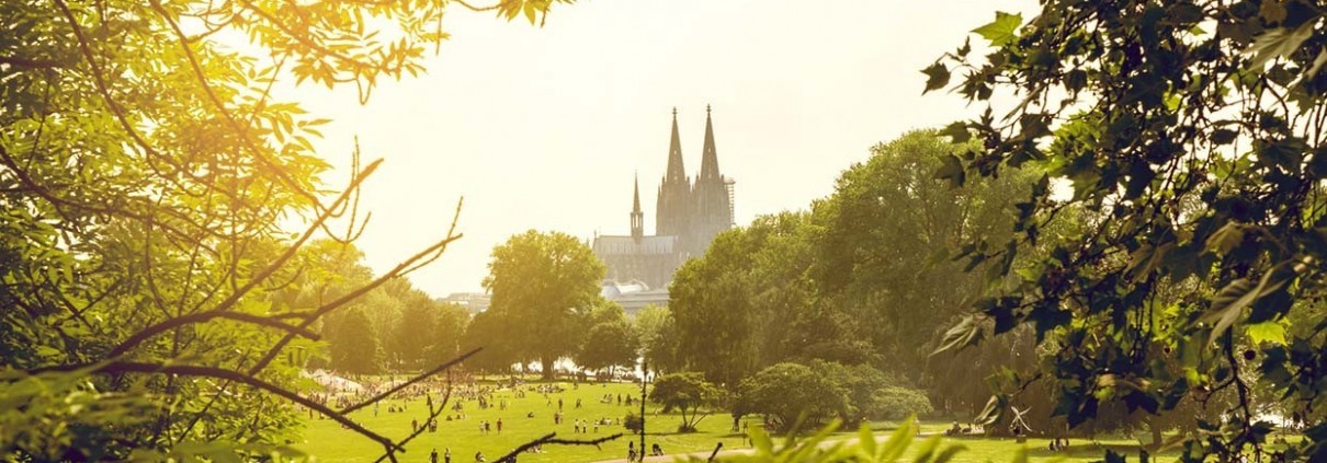 Deutsche Umwelthilfe gegen Dieselhersteller