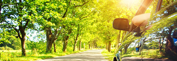 widerruf-autokredit Entspannter Autofahrer in einer Allee auf dem Land