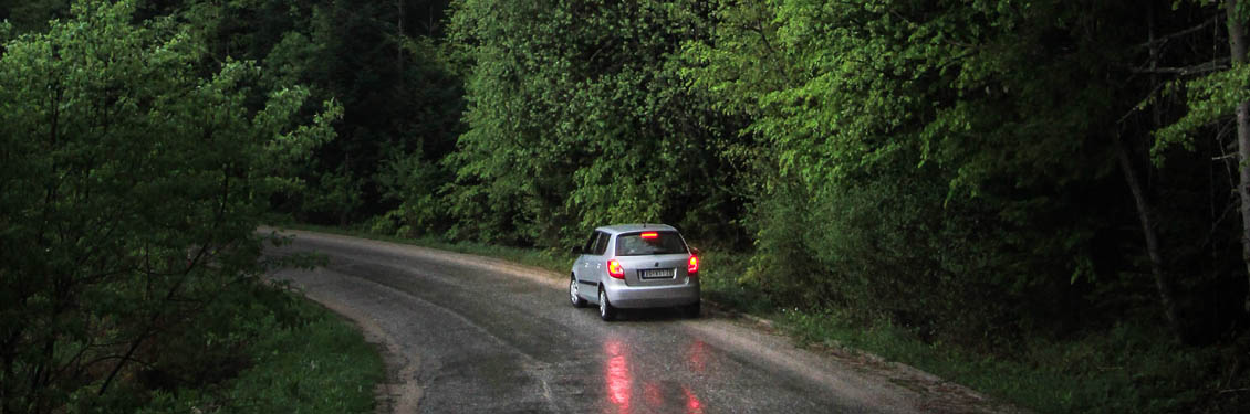 widerruf-skoda-kredit Bild von einem fahrende Auto auf einer Waldstraße